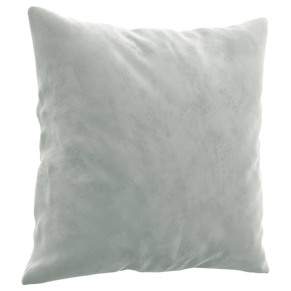 Light Gray Velvet 2 Piece Sofa Set with Throw Pillows H5109