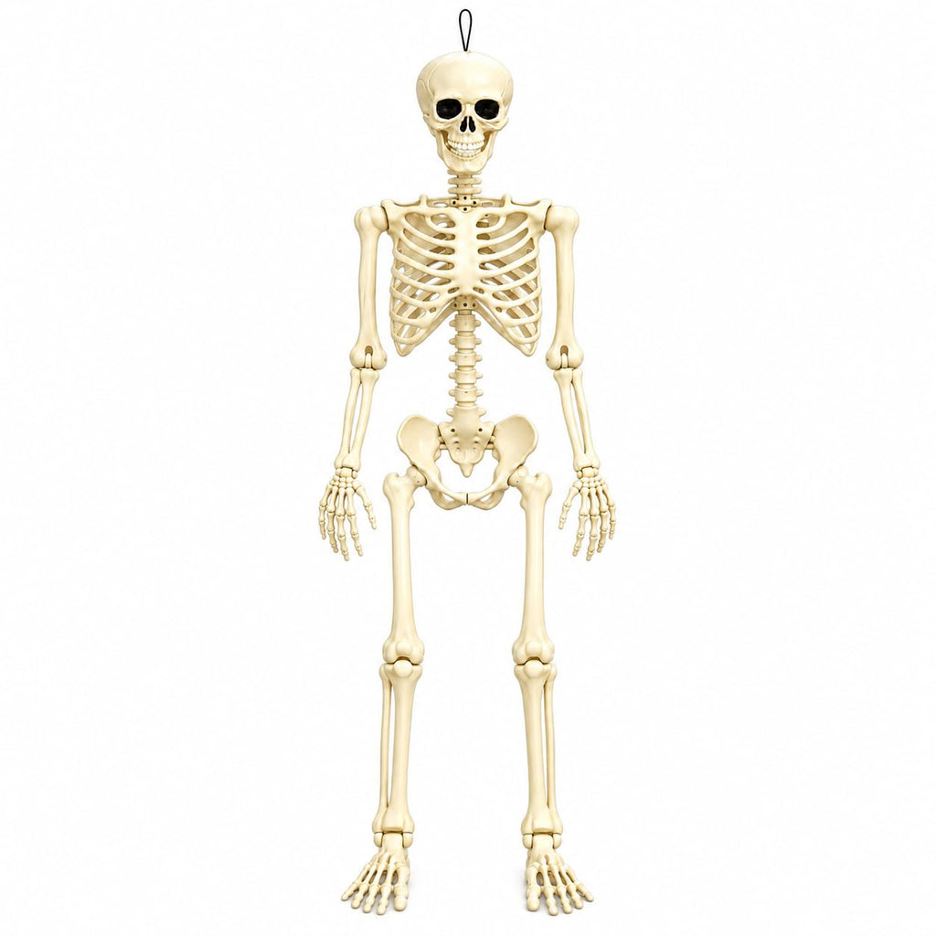 Posable Halloween Skeleton T43079