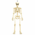Posable Halloween Skeleton T43079