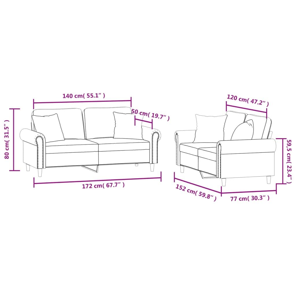 Light Gray Velvet 2 Piece Sofa Set with Throw Pillows H5109