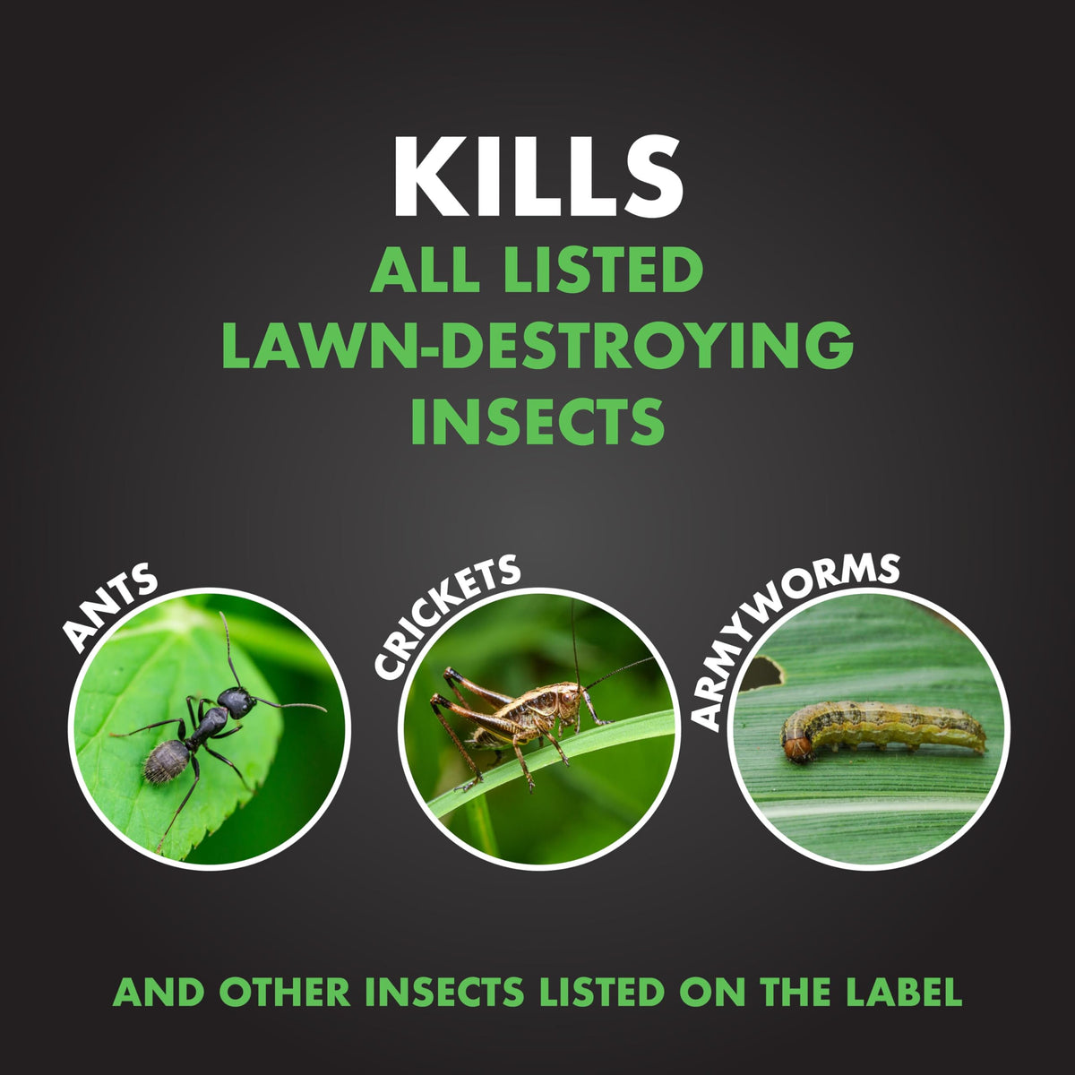 20 lb Granules Insect Killer P25527