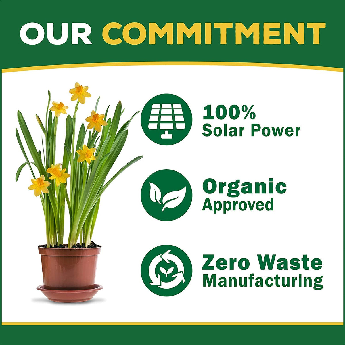 Organic Liquid Concentrate Plant Food 16oz Z50217