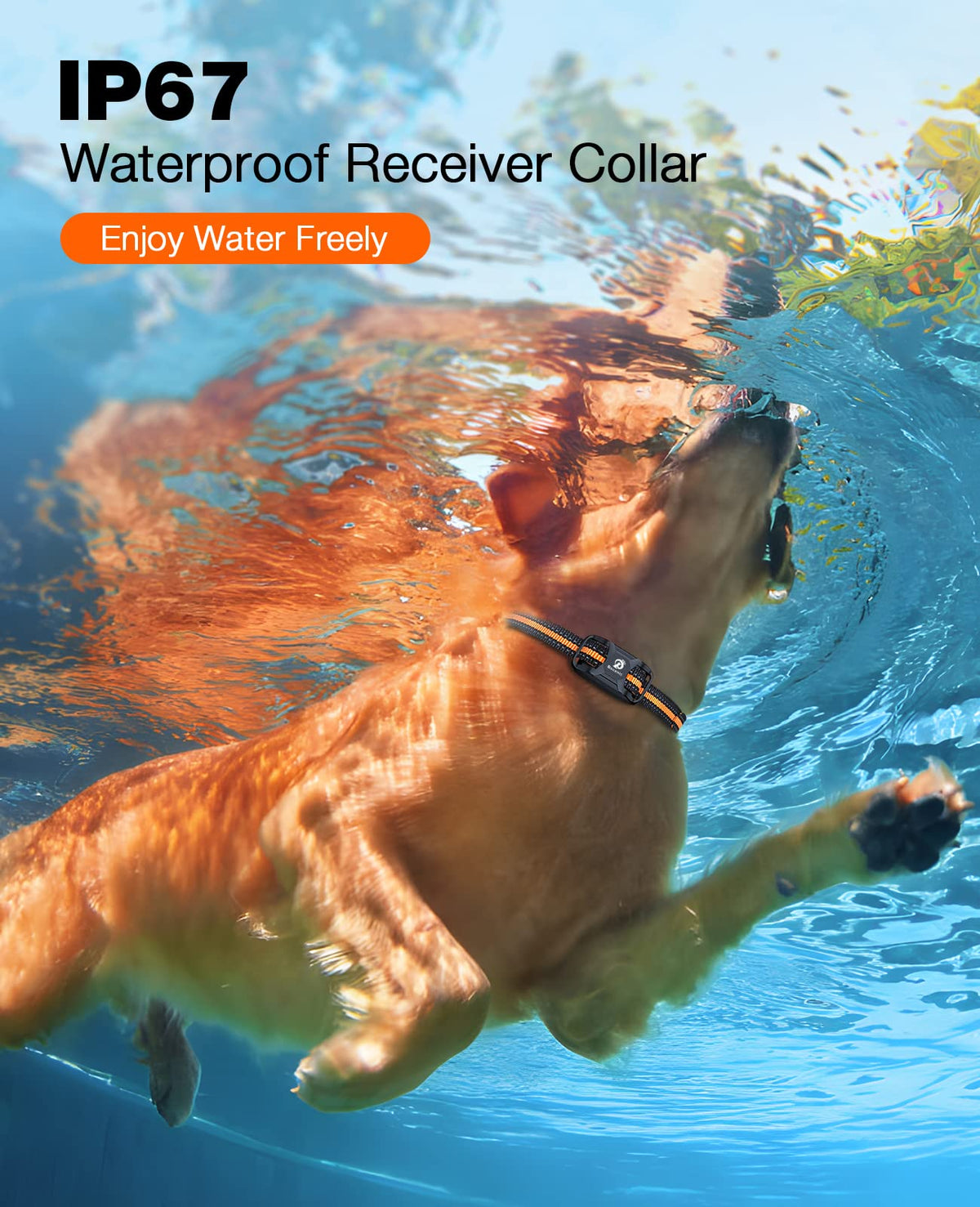 Rechargeable Waterproof Dog Training Collar with Remote Q511