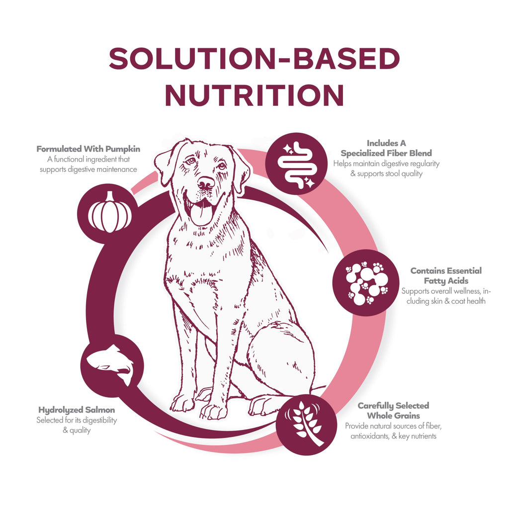 Salmon & Whole Oats Dry Dog Food 26 lb Q1651