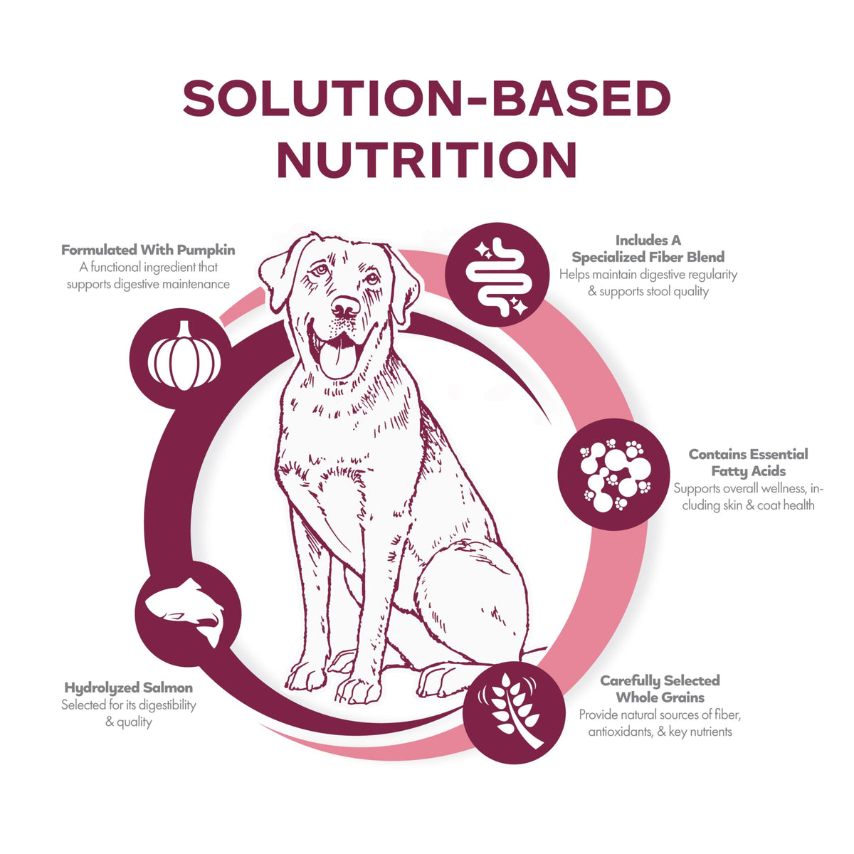 Salmon & Whole Oats Dry Dog Food 26 lb Q1651