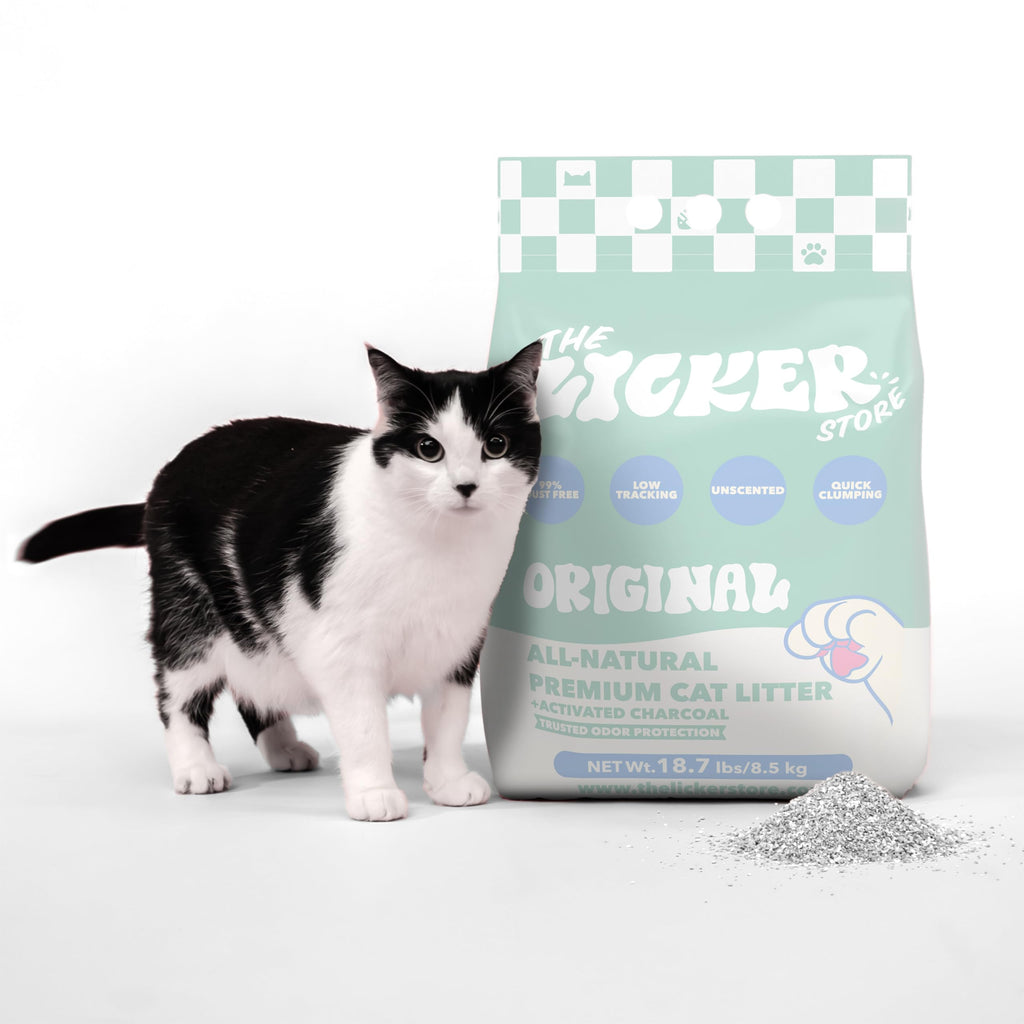 Unscented Clumping Bentonite Clay Cat Litter Set of 2 V173