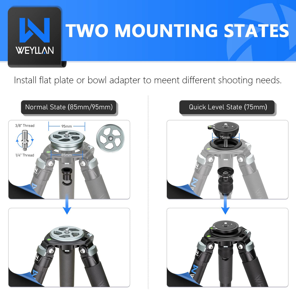 Carbon Fiber Tripod with 75mm Bowl and Adapter W99108