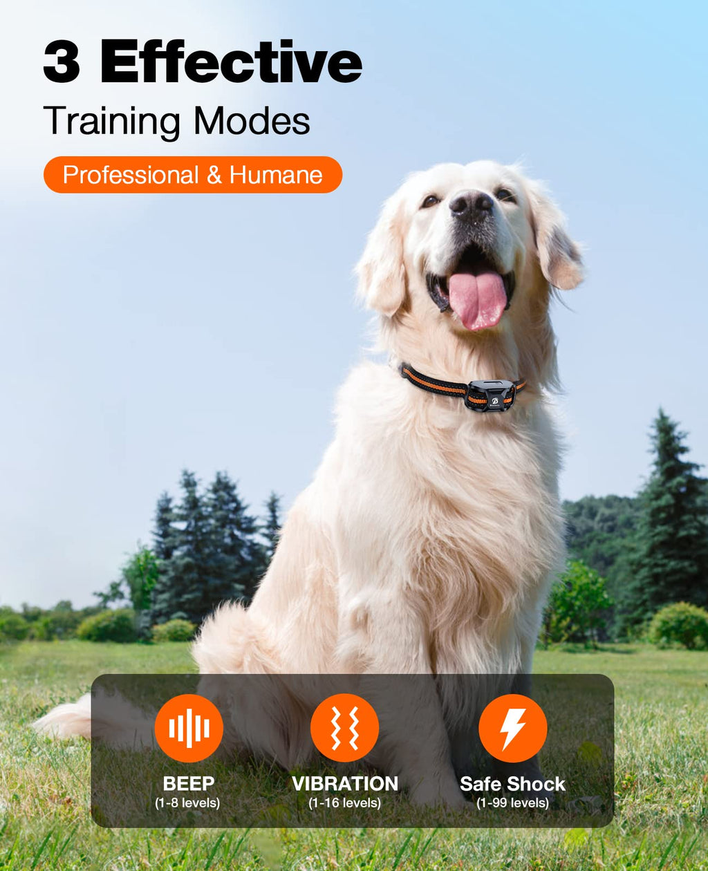 Rechargeable Waterproof Dog Training Collar with Remote Q511