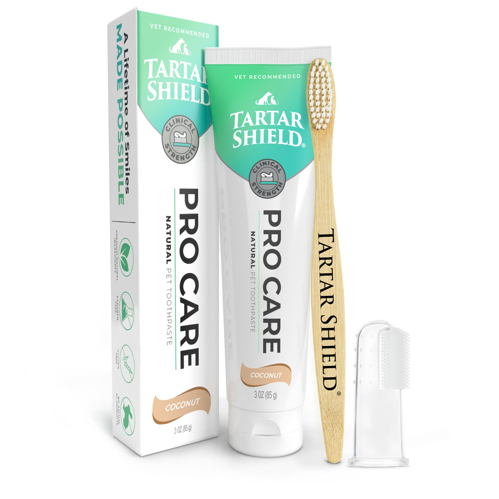Dogs & Cats Dental Kit M986257