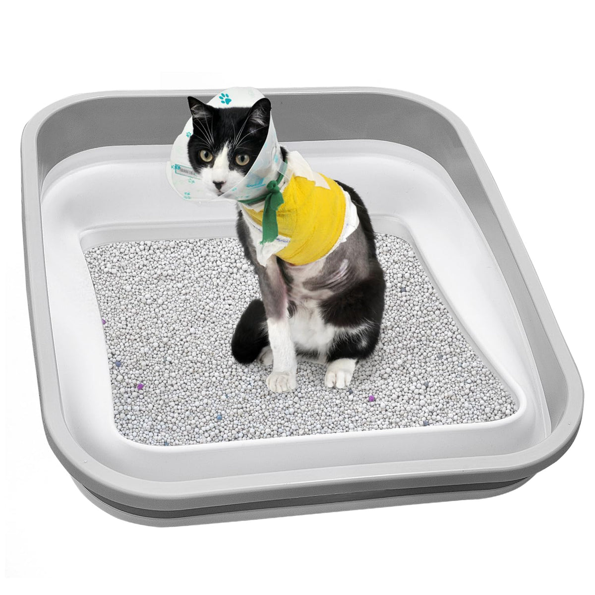 Collapsible Open Cat Litter Box M623