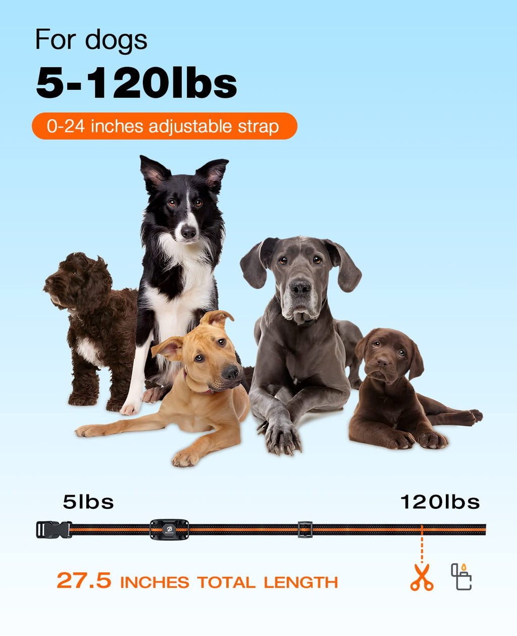 Rechargeable Waterproof Dog Training Collar with Remote Q511