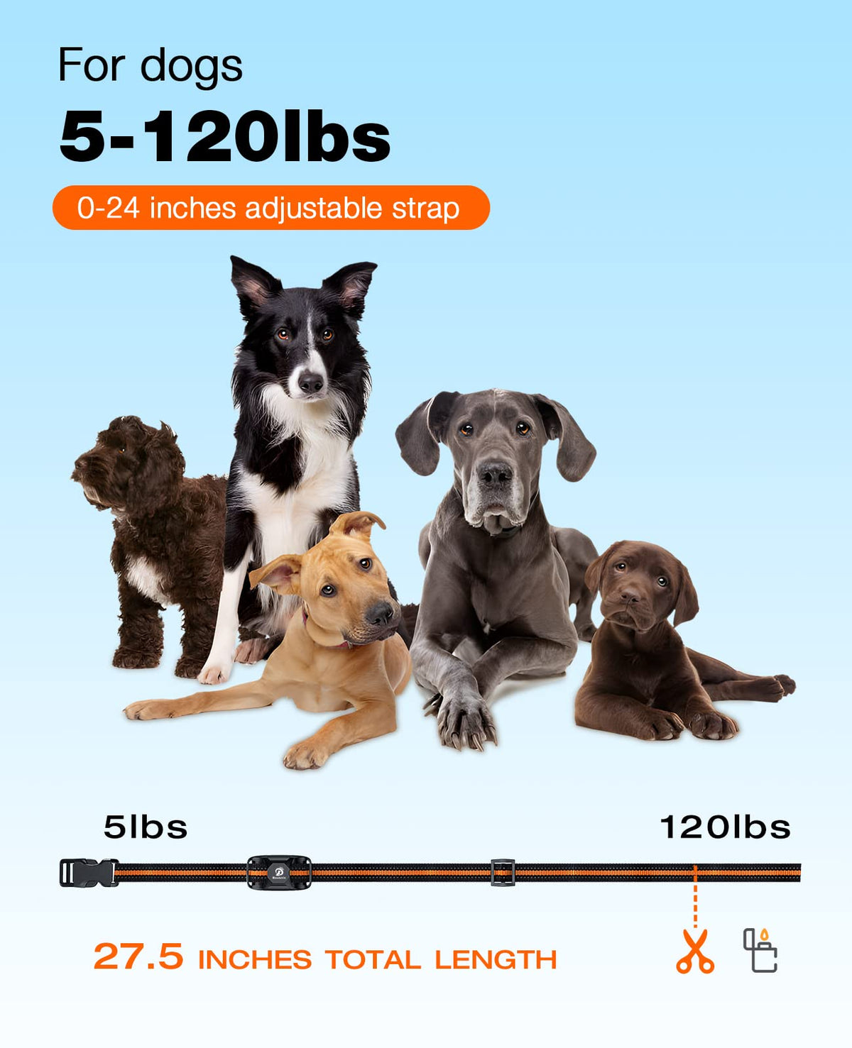 Rechargeable Waterproof Dog Training Collar with Remote Q511