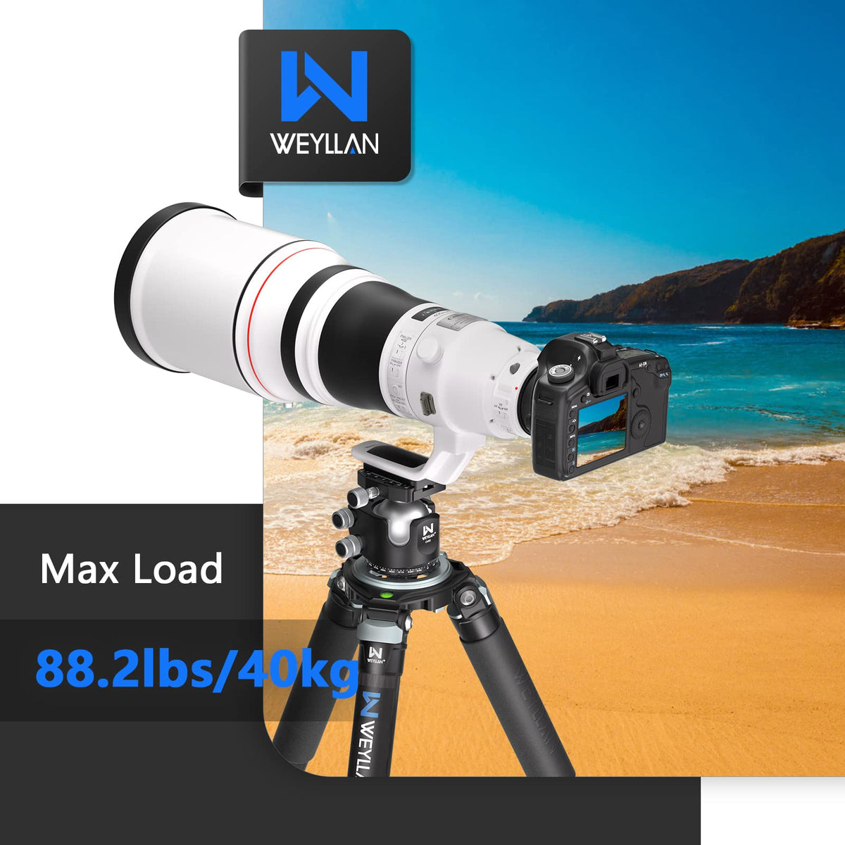 Carbon Fiber Tripod with 75mm Bowl and Adapter W99108