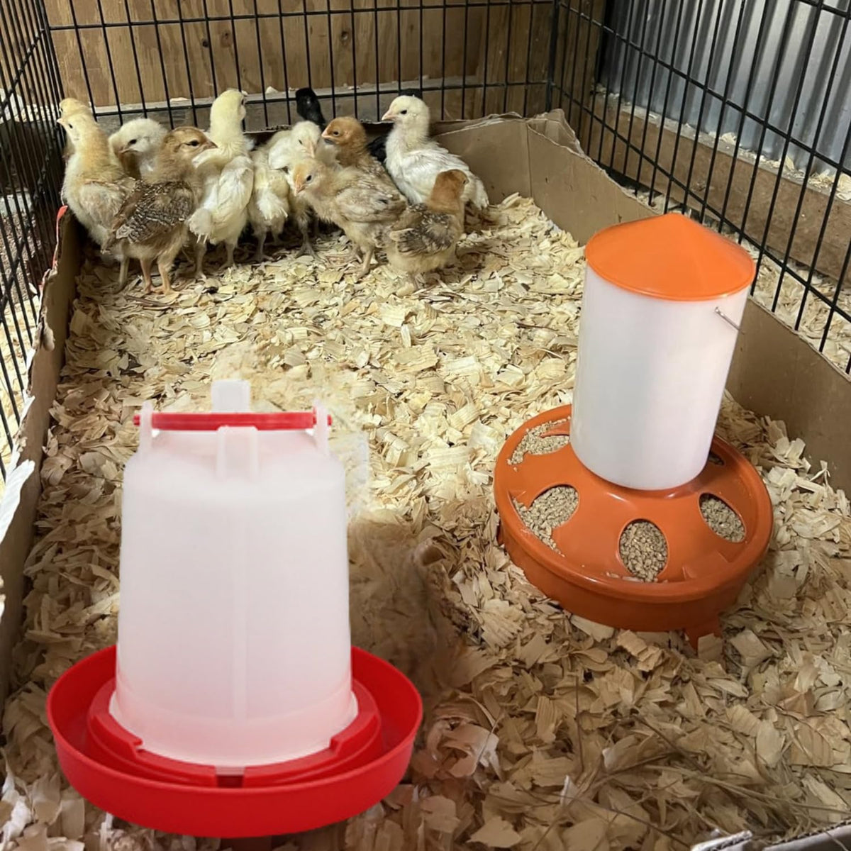 4 Pack 1 L Plastic Poultry Waterer A483591