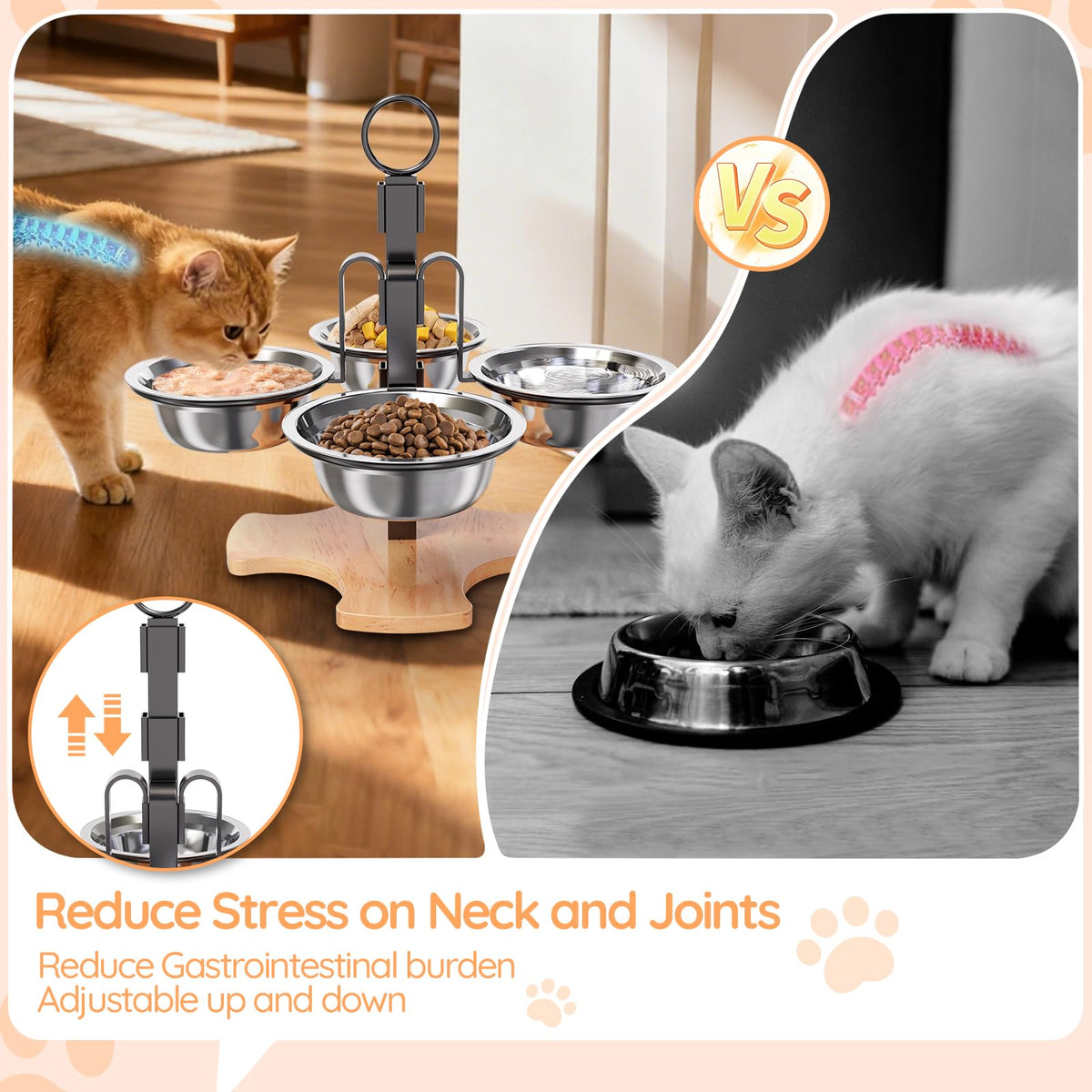 Elevated Cat Bowls with Stand X85613