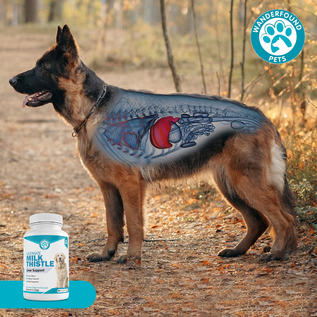 Milk Thistle for Dogs Chewable Tablets L522606