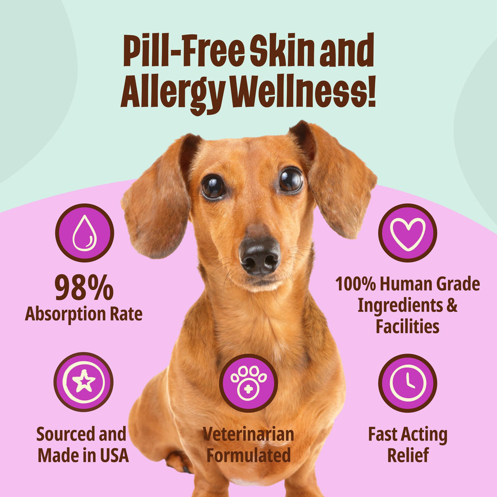 Omega-3 Fish Oil for Senior Dogs Y437