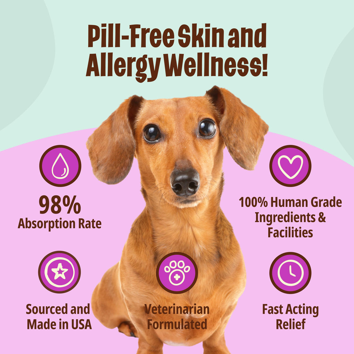 Omega-3 Fish Oil for Senior Dogs Y437