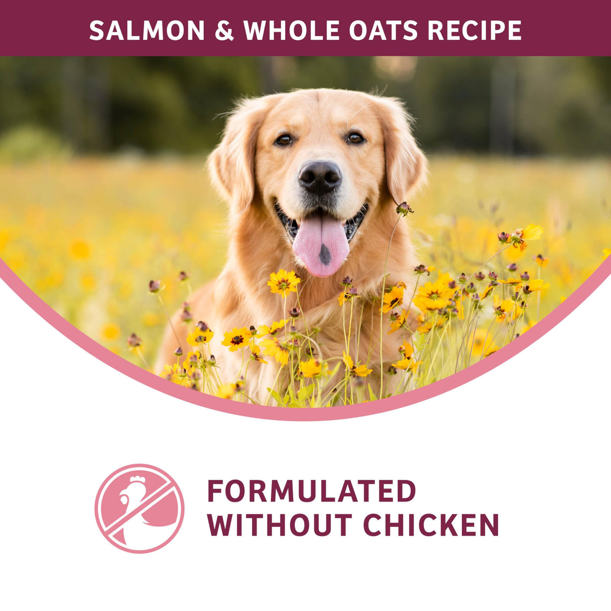 Salmon & Whole Oats Dry Dog Food 26 lb Q1651