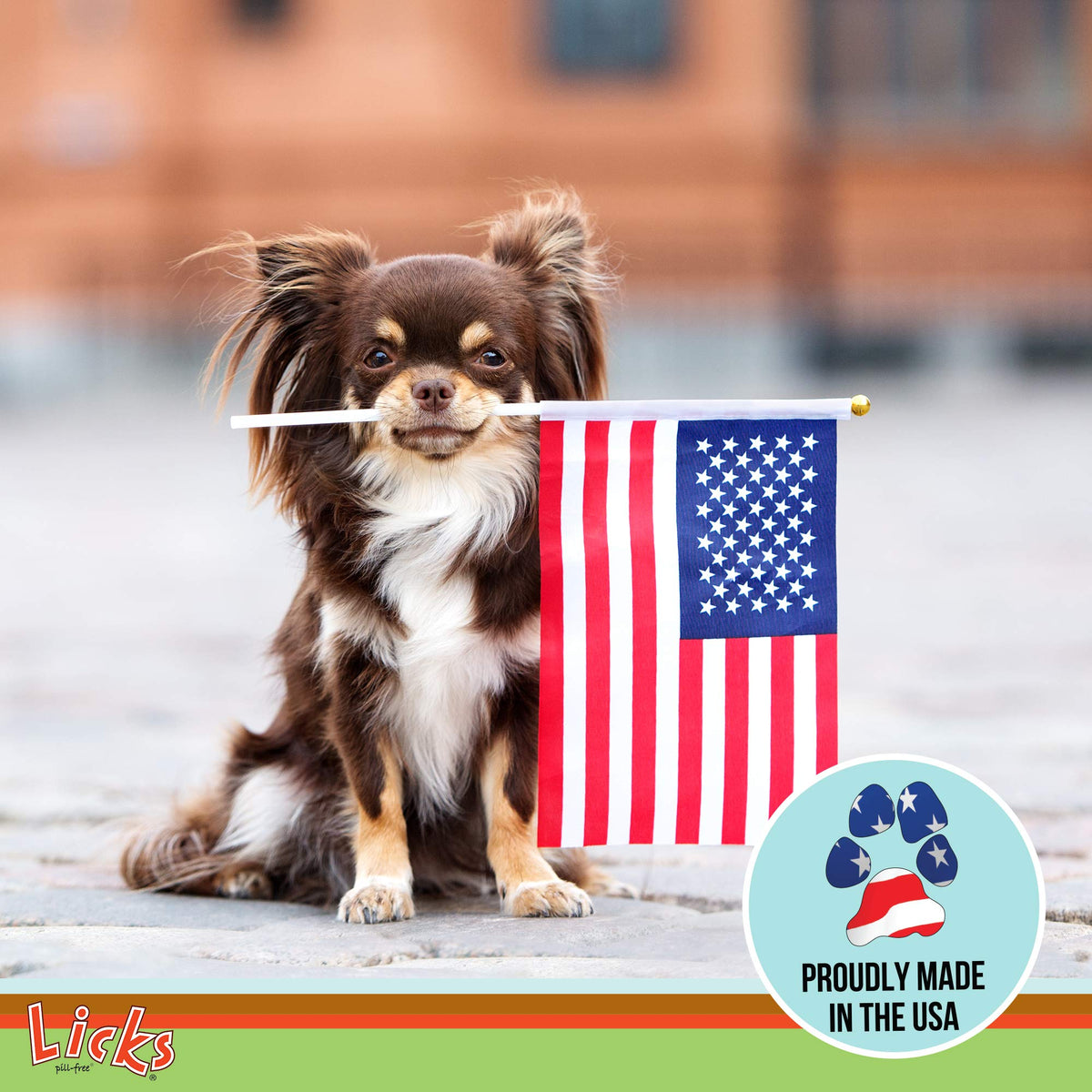 Omega-3 Fish Oil for Senior Dogs Y437