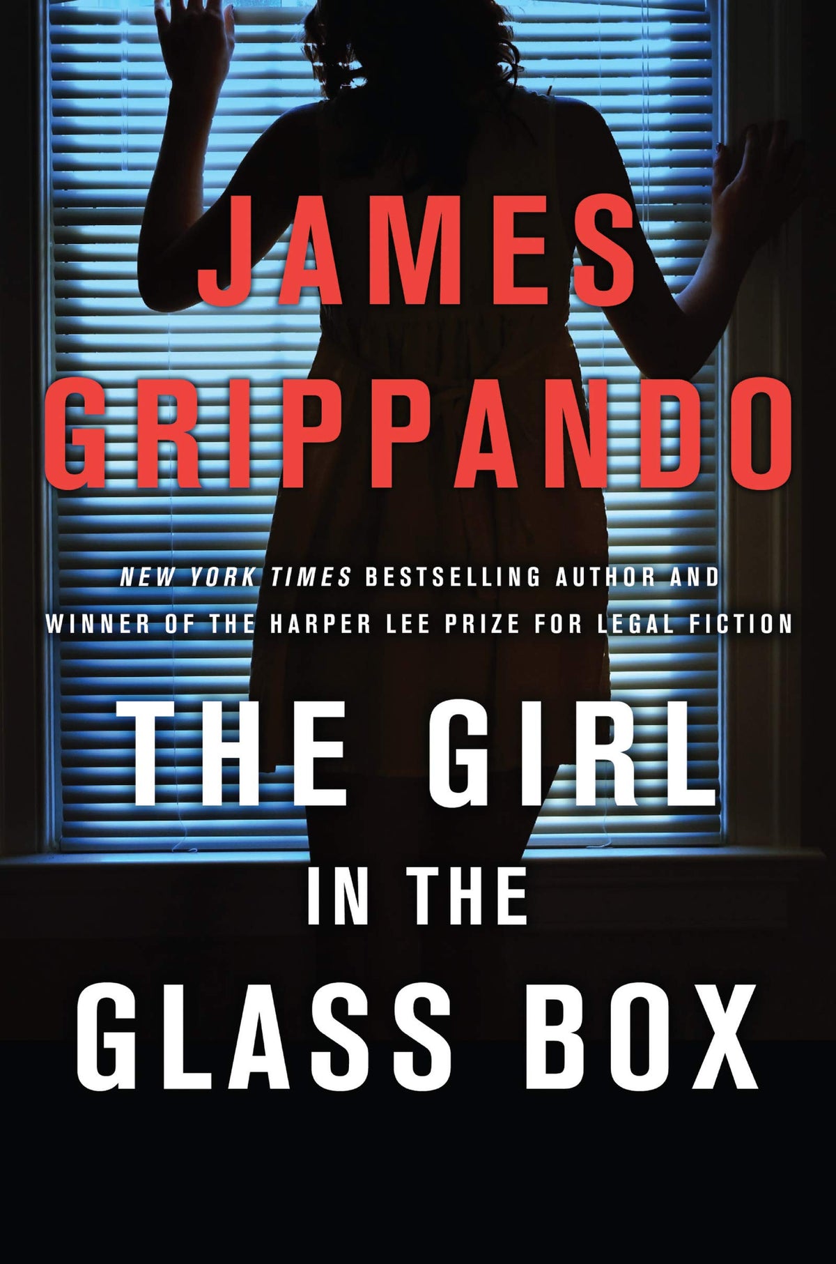 Legal Thriller U857698