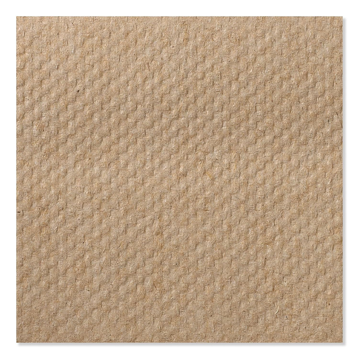 Multifold Hand Towel Natural 16 x 250 Sheets N678