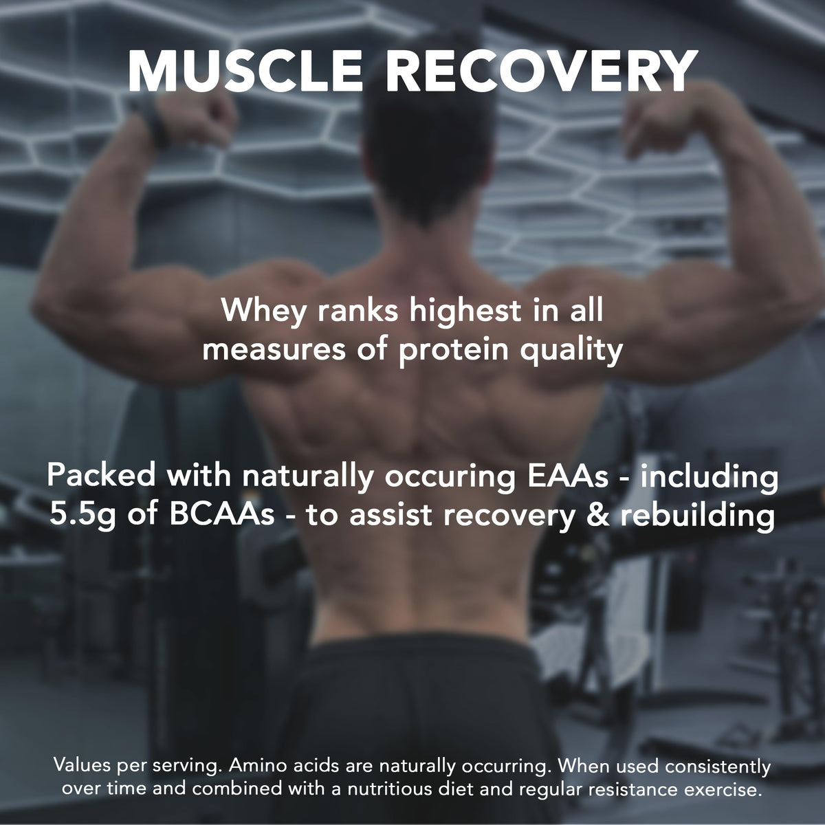 Whey Rich Chocolate 5lb W4837
