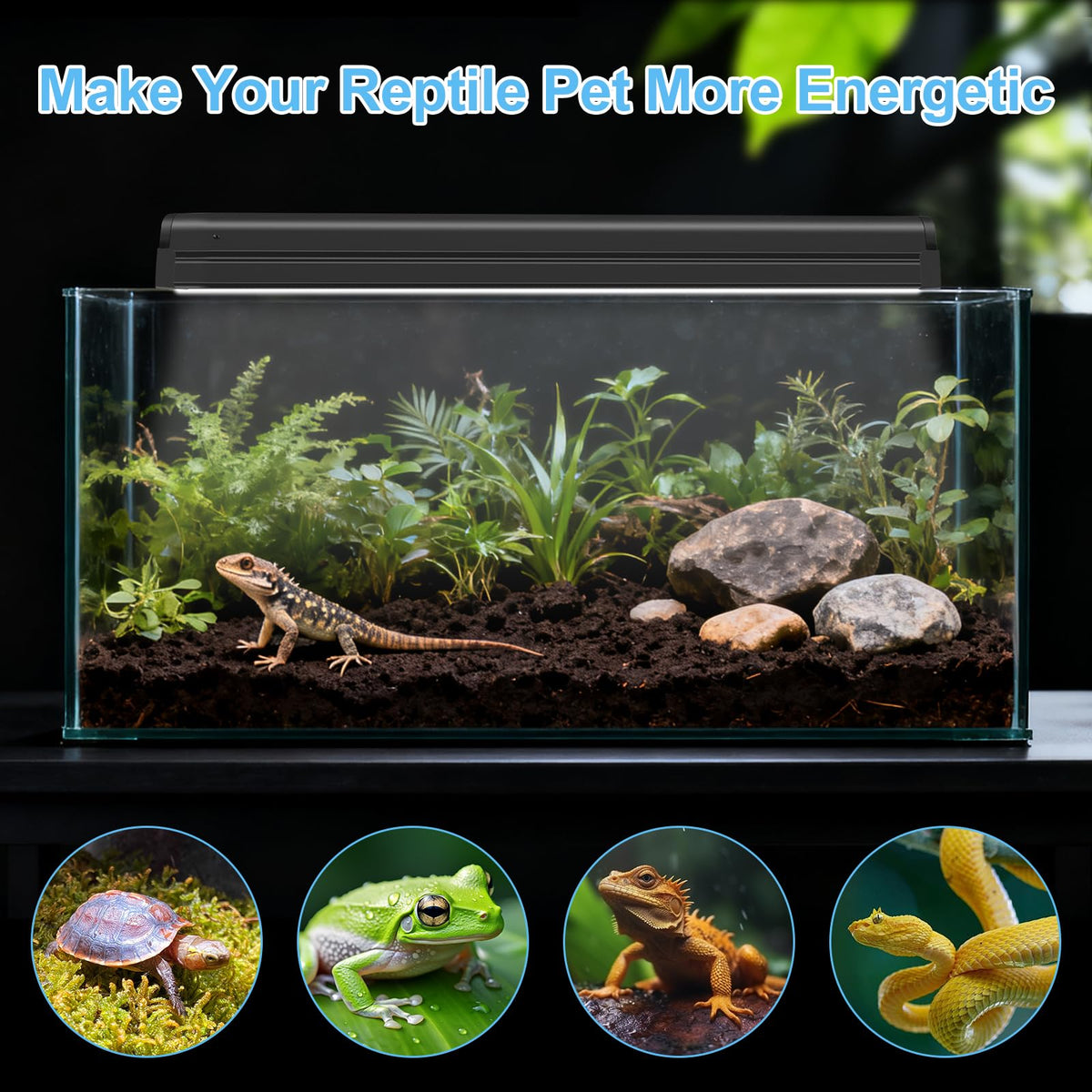 8W 10.0 UVB Reptile Light Fixture Combo Kit 12inch Q642910