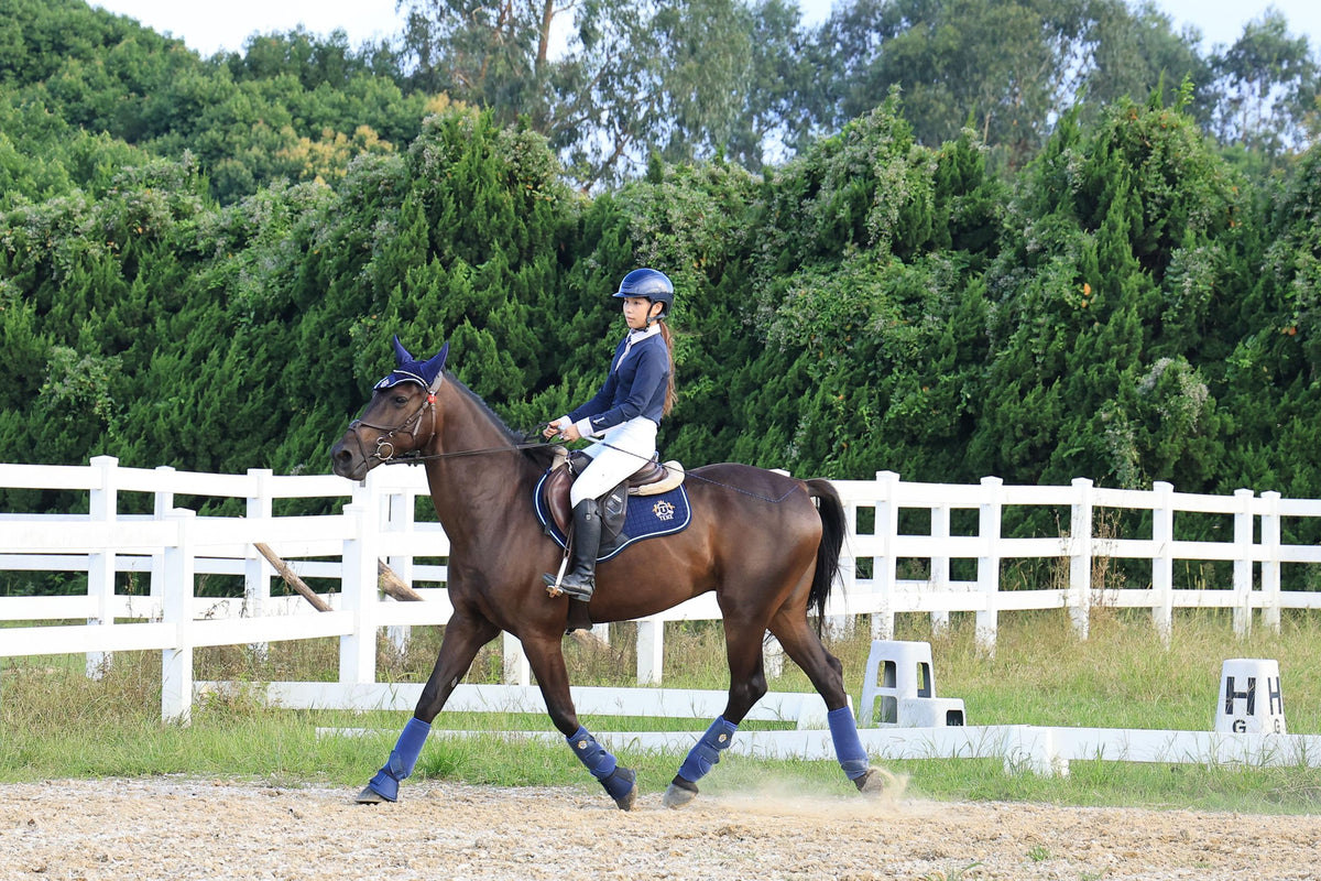 100% Cotton English Saddle Pads T423470